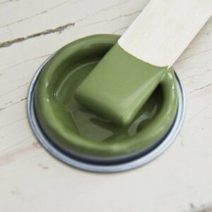 Vintage Paint Olive Green